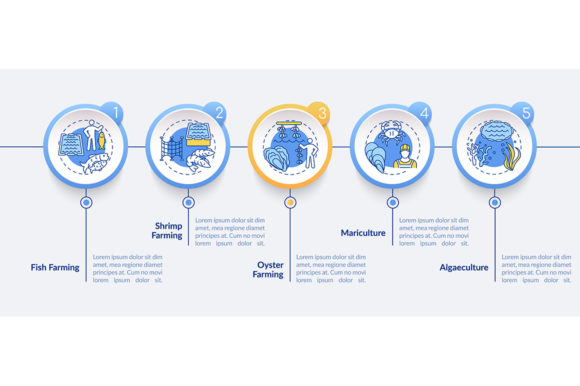 Aquaculture Vector Infographic Template: Graphics Review